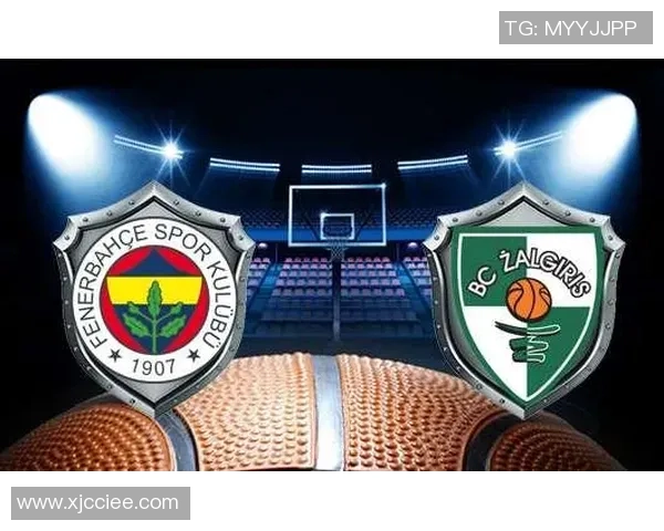 费内巴切与伊斯坦布尔埃菲斯精彩对决直播全程回顾与分析